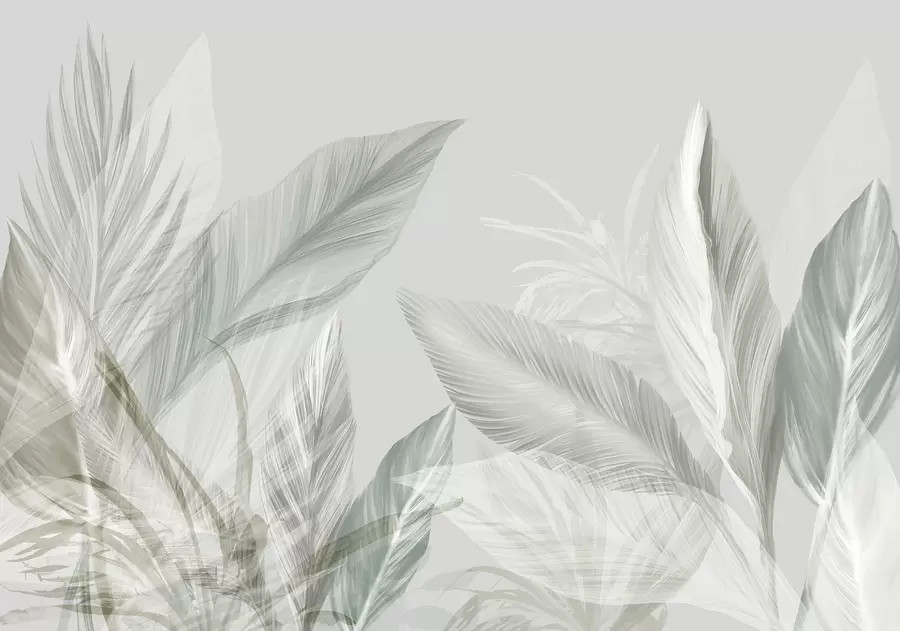 wall murals Soft white, green and gray feathers and tropical leaves floating against a light background w08241