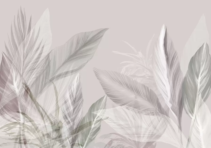 murais de parede Penas suaves brancas, rosa e cinza e folhas tropicais flutuando contra um fundo claro w08241v1