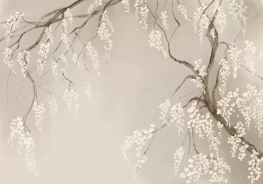 wall murals Delicate white cherry tree with blossom flowers blooming on branches against beige background w08243