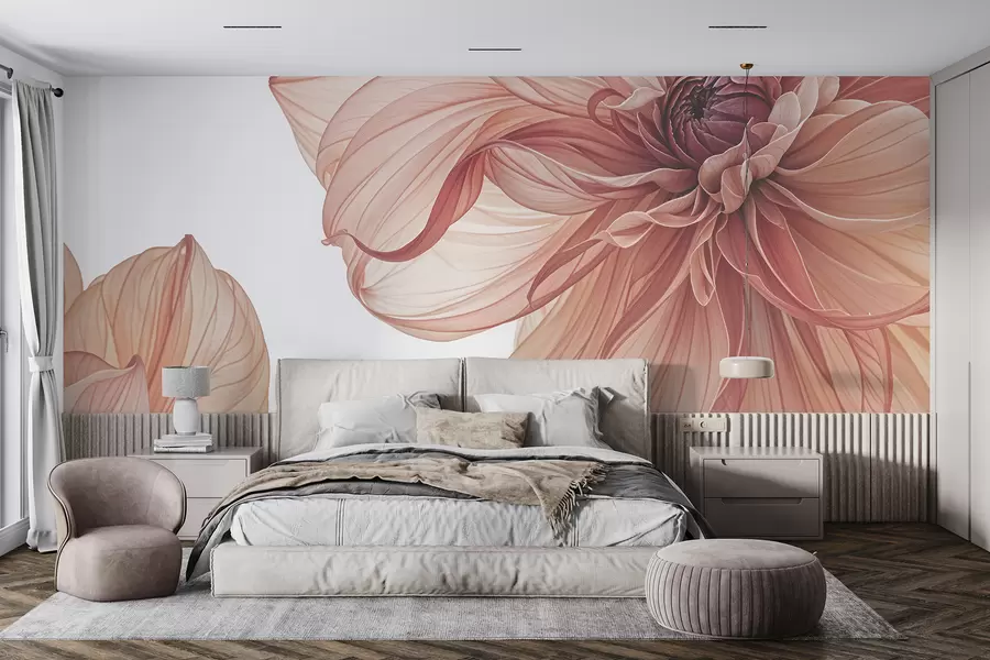 murales Primer plano de varias flores grandes de dalia de color rojo vivo con pétalos suaves y delicados sobre un fondo blanco w08257