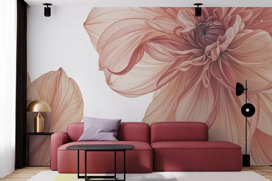 murais de parede Um grande plano de várias flores grandes e vibrantes de dália vermelha com pétalas suaves e delicadas sobre um fundo branco w08257