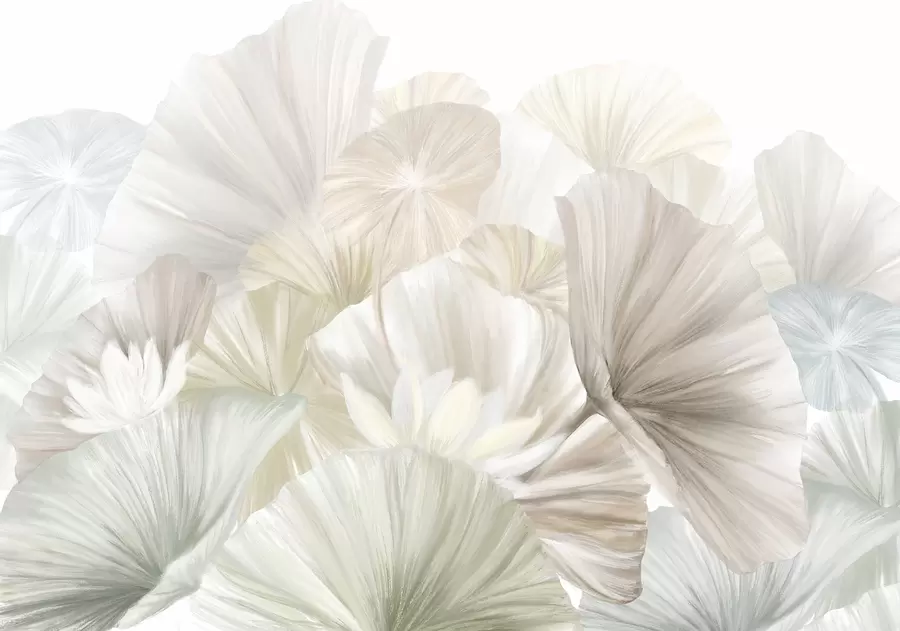 wall murals Delicate green lotus leaves with white flowers with soft, feathery petals arranged in a natural art composition w08265