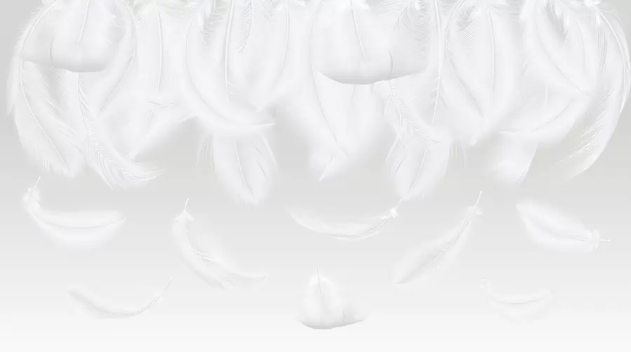 wall murals Delicate white feathers falling from above on a light beige background w01150v1