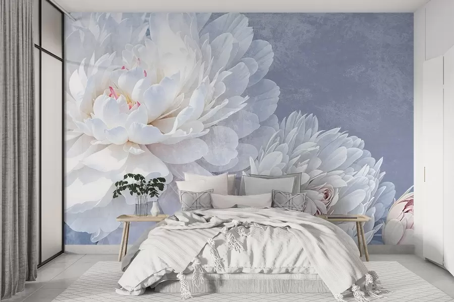 peintures murales Fleurs de pivoines blanches détaillées aux pétales doux et délicats sur un fond texturé bleu pastel clair w08379
