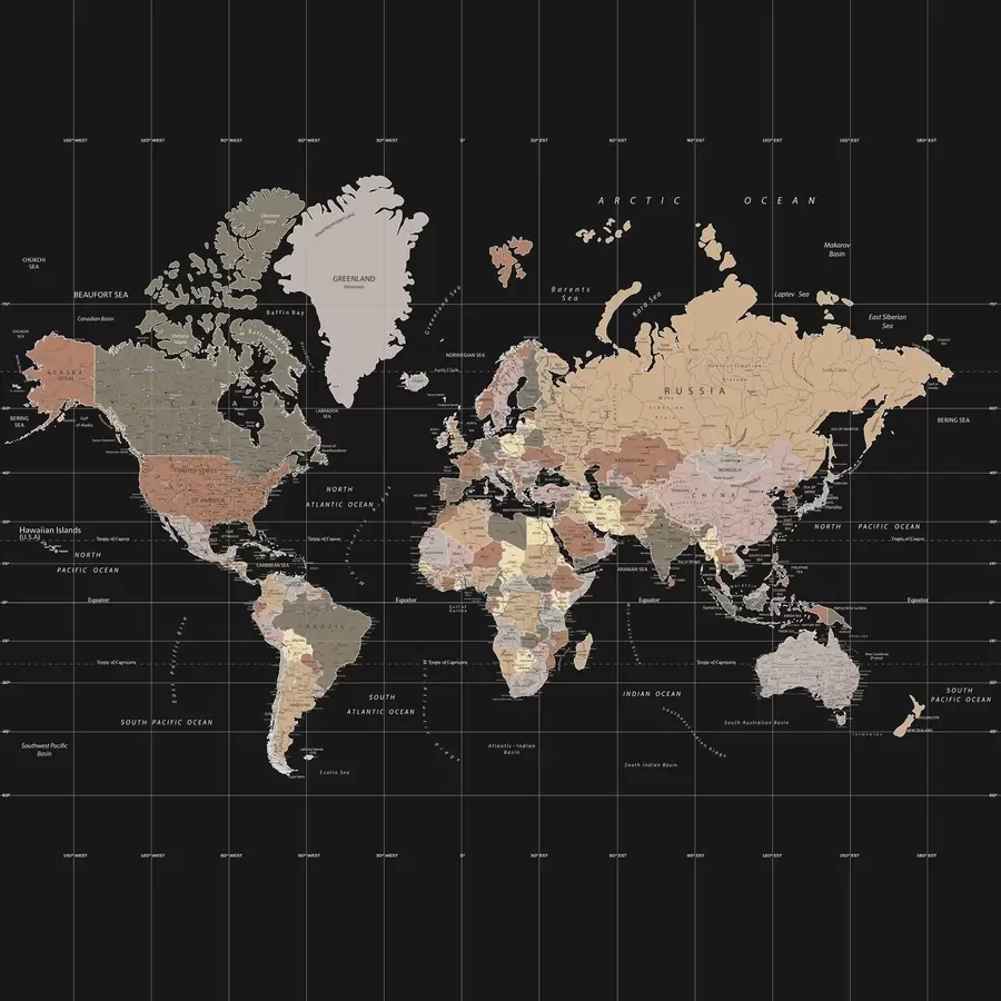 peintures murales Carte du monde avec les contours de divers pays u99477d1