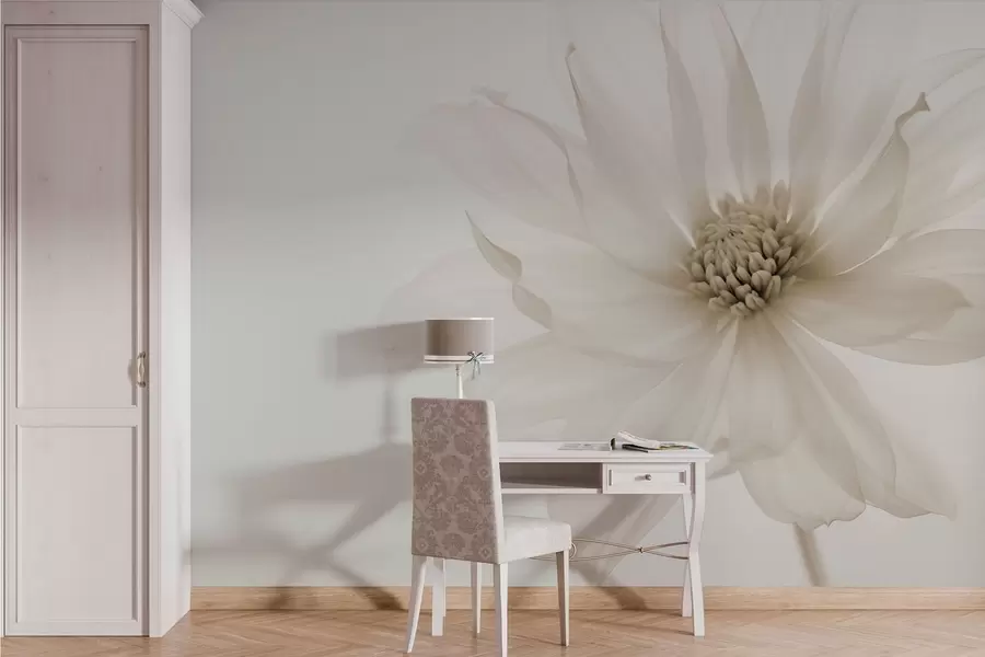 Wall Mural Photo Wallpaper Delicate beige flower on light background w02077v1