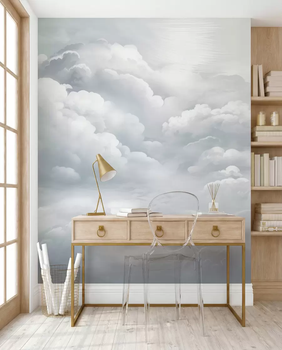 wall murals Silver Cloud Canopy w02189v1