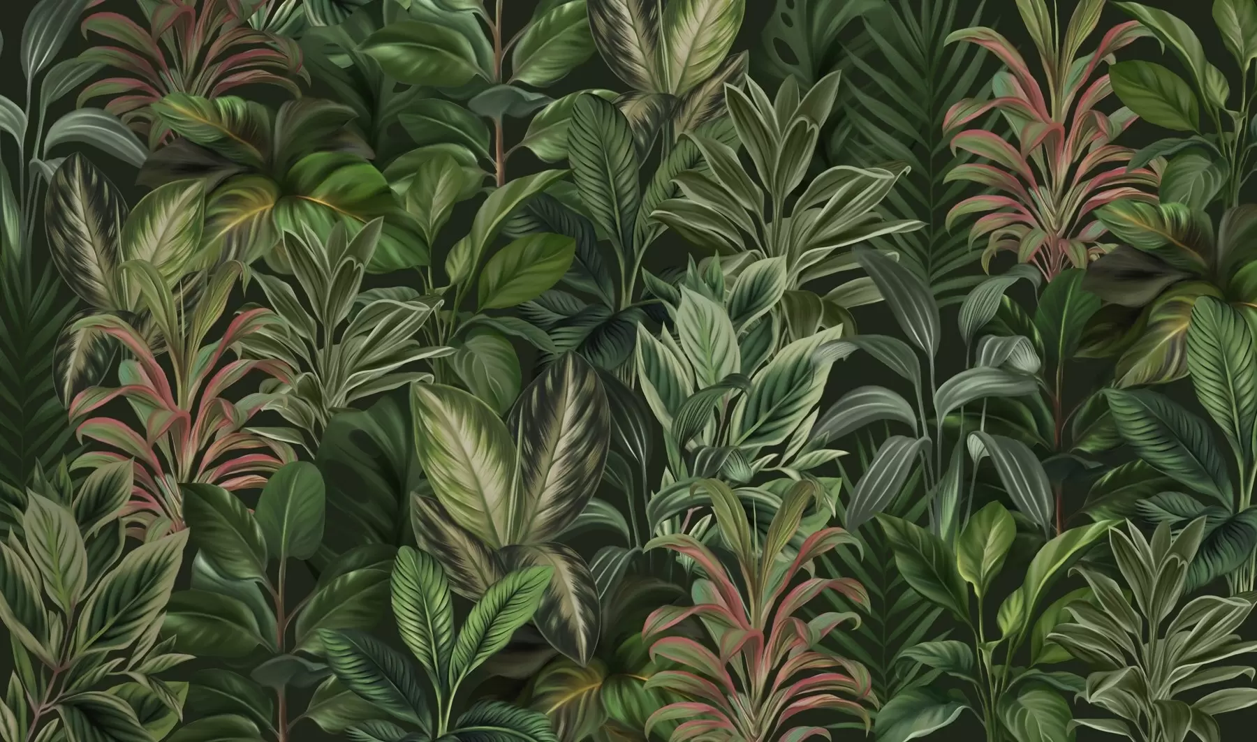 peintures murales Feuillage tropical vert épais w02126