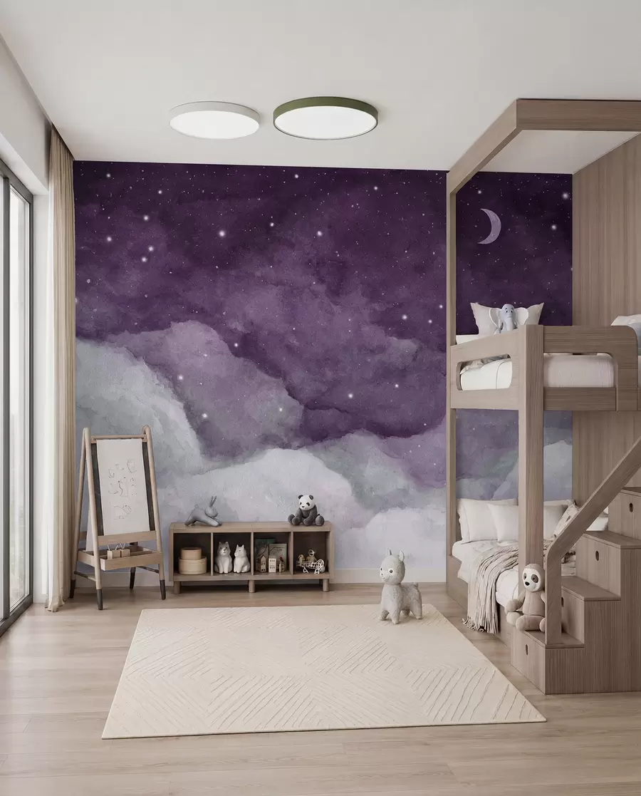 peintures murales Chuchotements de la nuit dans des teintes douces u96076v3