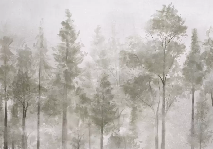 wall murals Tall textured pine trees in a foggy forest, with a misty, hazy atmosphere w08411