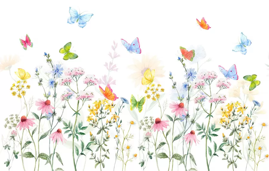peintures murales Fleurs et plantes colorées et papillons w02238