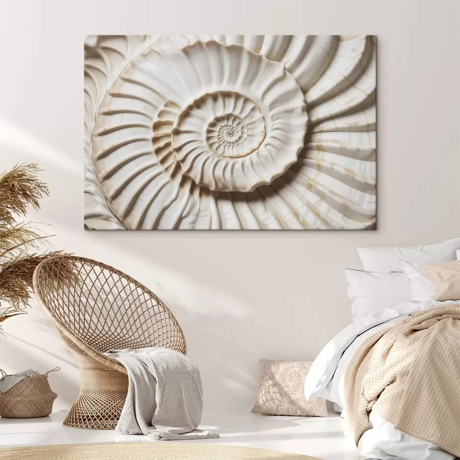 murales Concha espiral blanca, que muestra su intrincado y detallado dibujo s41728
