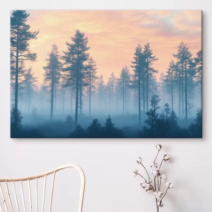 wall murals Misty forest in the morning time s41832