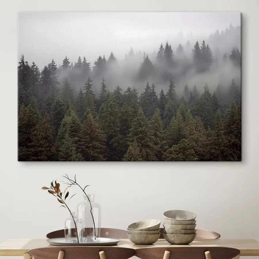 wall murals Forest in the mist s41839
