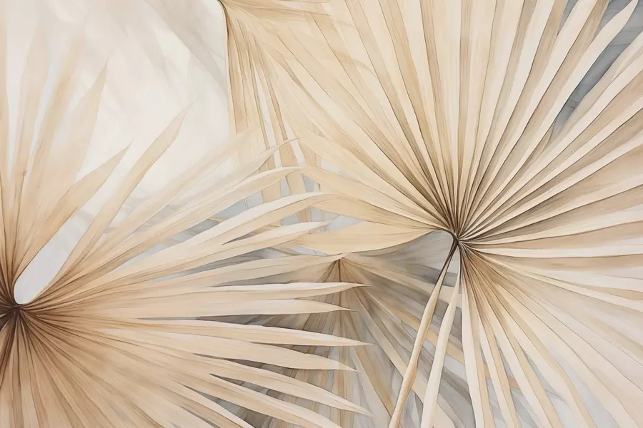 Wall Mural Photo Wallpaper Dry palm leaves w02431