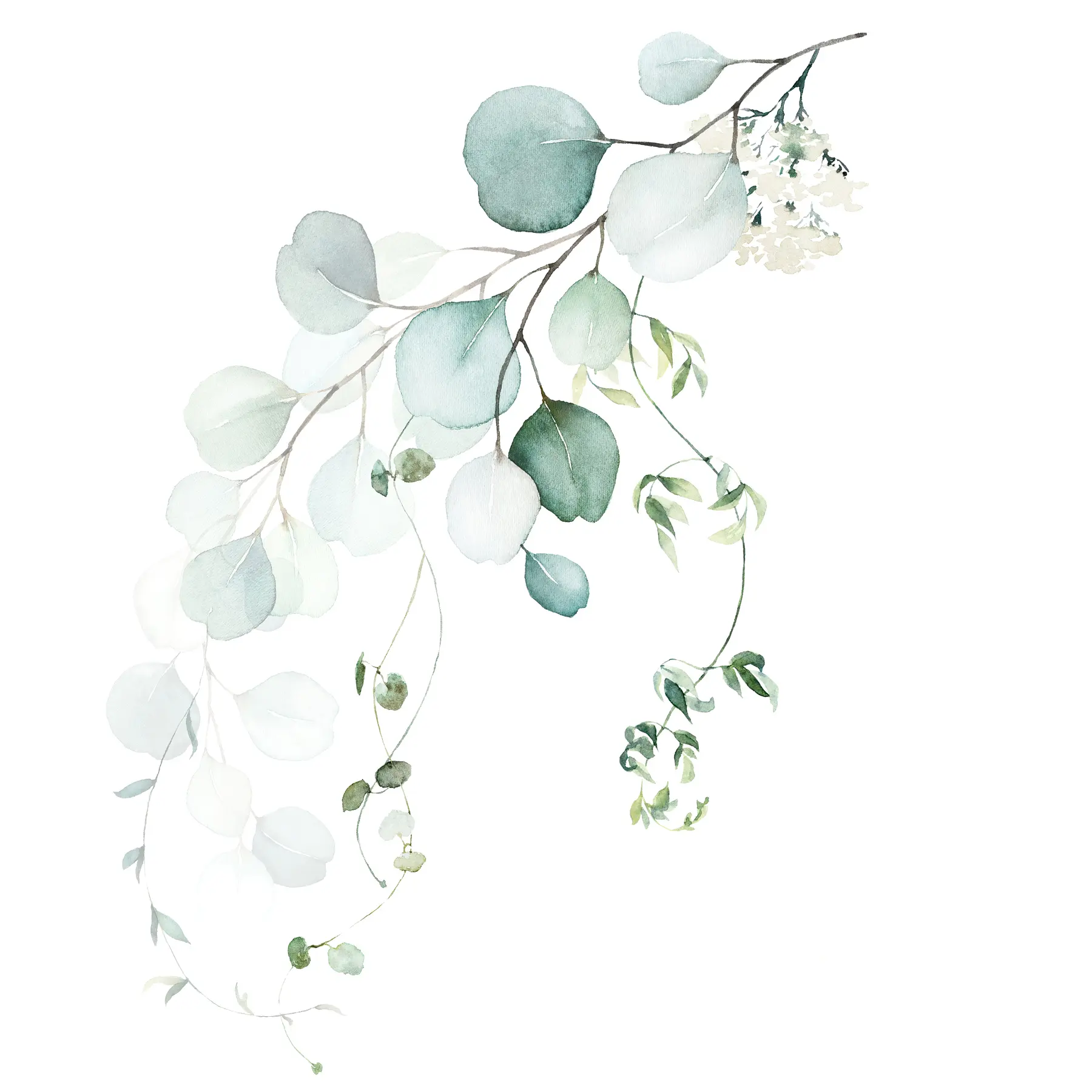 Wall Mural Photo Wallpaper Branch with leaves u51026