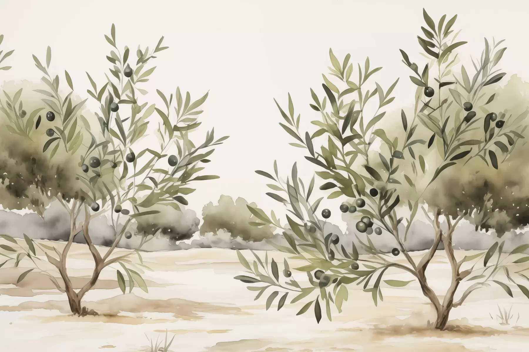 Wall Mural Photo Wallpaper Olive trees abstract imitation watercolor w02583