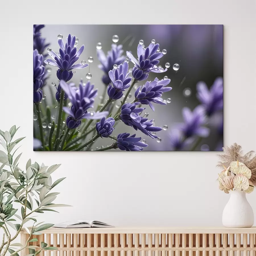 murales Flores de lavanda púrpura con gotas de agua en los pétalos, sobre un fondo borroso s42229