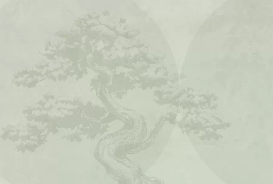 murales Bonsai árbol minimalismo geometría grunge fondo w08557v2