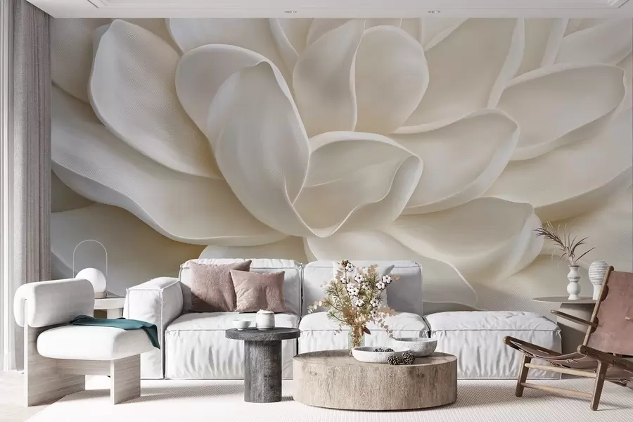 murales Primer plano de una flor suculenta clara w08563