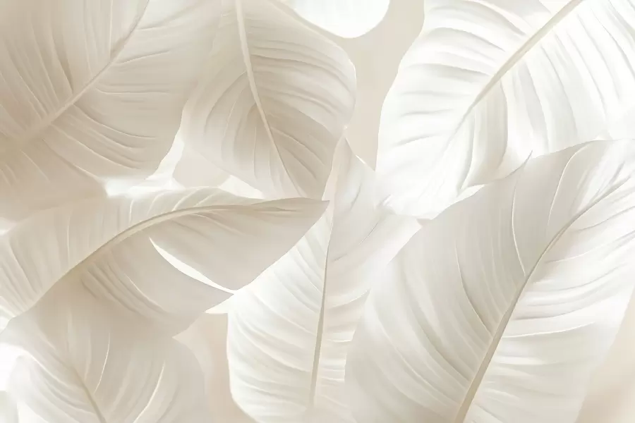 wall murals Large delicate leaves w08565