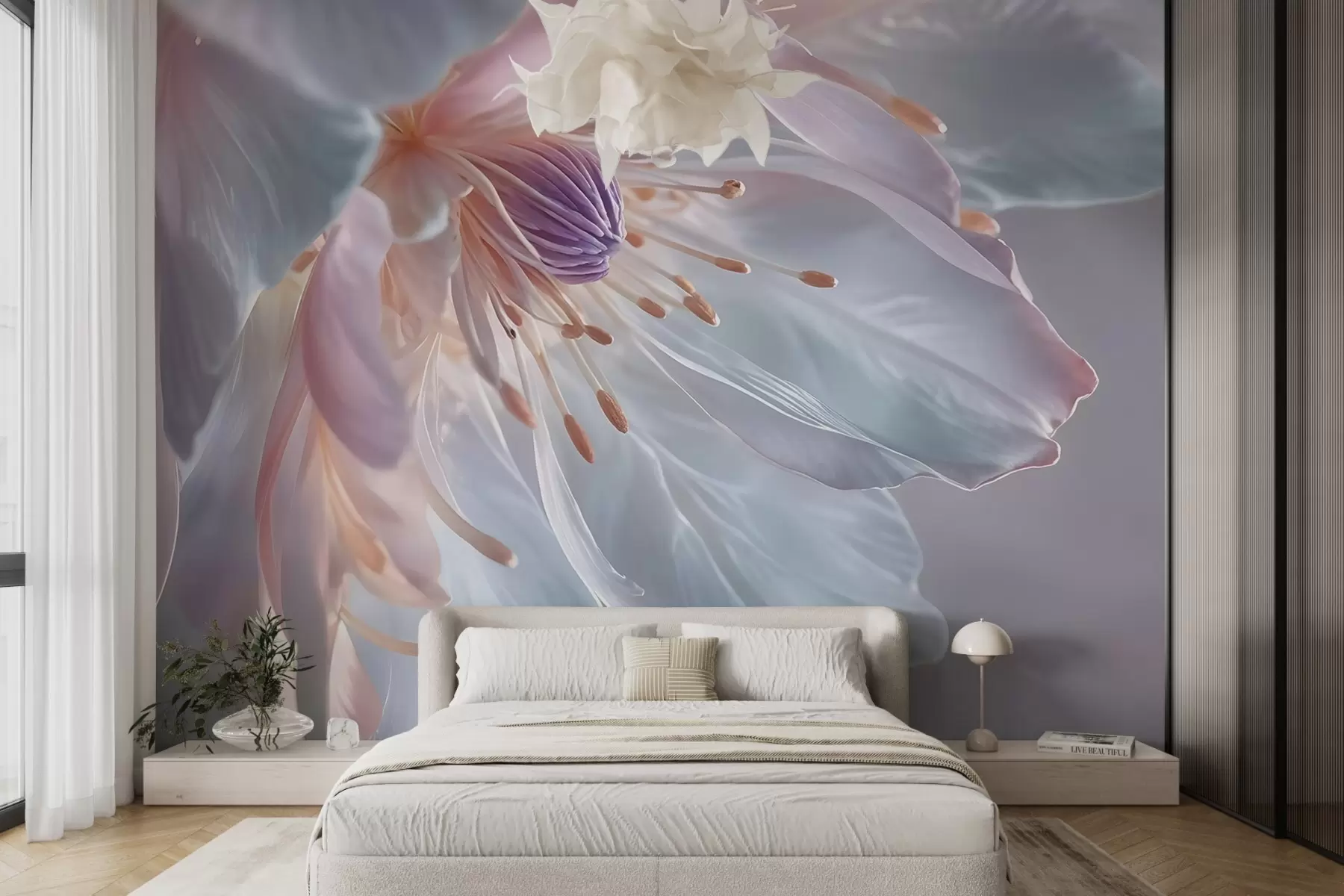 murais de parede Um grande plano de uma flor delicada, de cor pastel, com pétalas suaves e translúcidas e um centro vibrante w08605