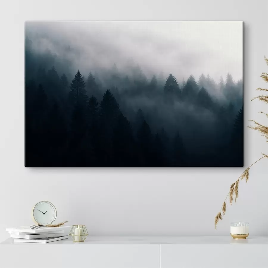 wall murals Black forest in fog s42926