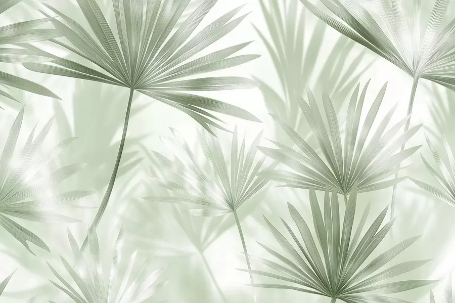 peintures murales Feuilles de palmier, motif floral, minimalisme, tropical, couleurs vertes w03152v2