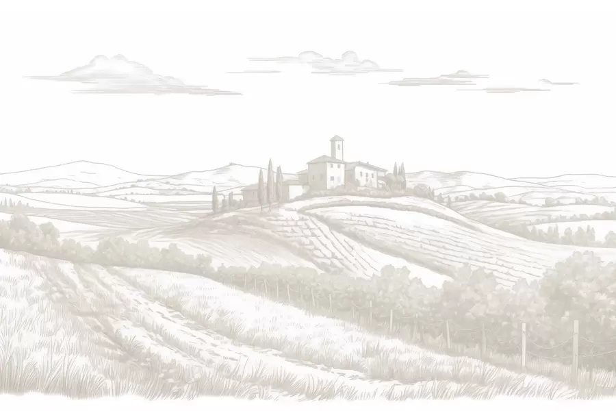 Wall Mural Photo Wallpaper Tuscany landscapes, Italy, vineyards, nature, old castle, beige colors w03349