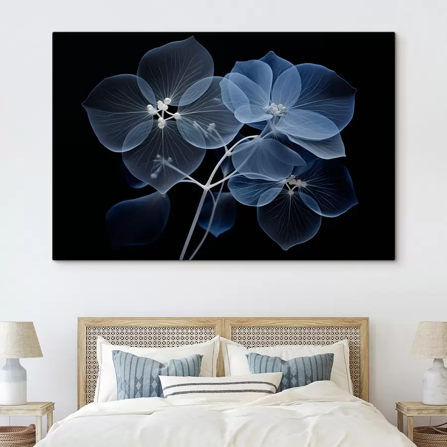 murales Una flor de hortensia azul translúcida con estambres azules y un delicado tallo, sobre fondo negro s43395