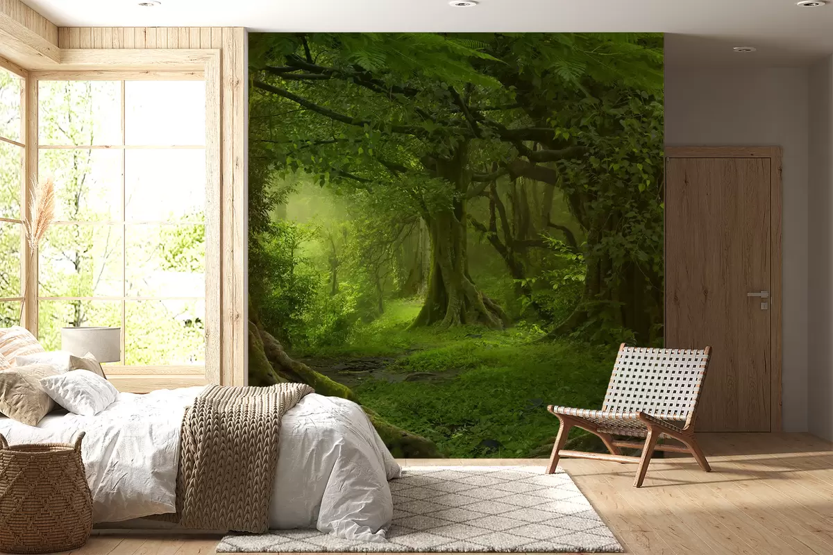 Wall Mural Photo Wallpaper Ancient forest u56167