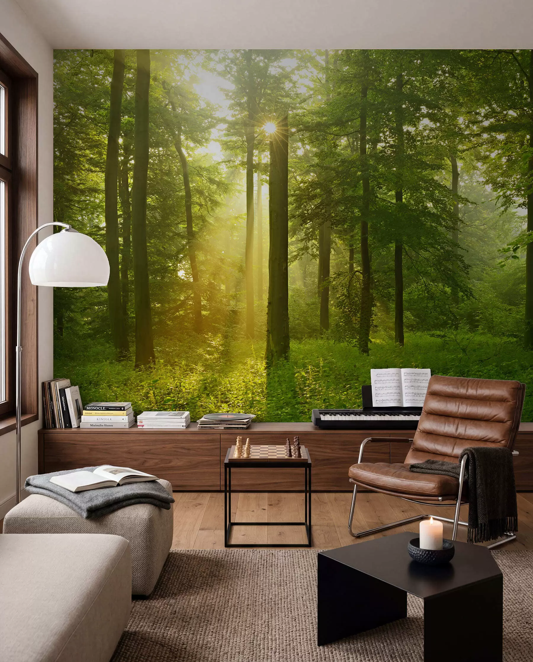 wall murals Silence in the sunny forest u57295