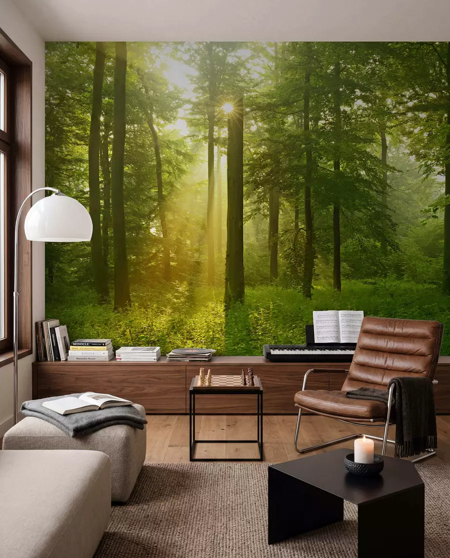 Wall Mural Photo Wallpaper Silence in the sunny forest u57295