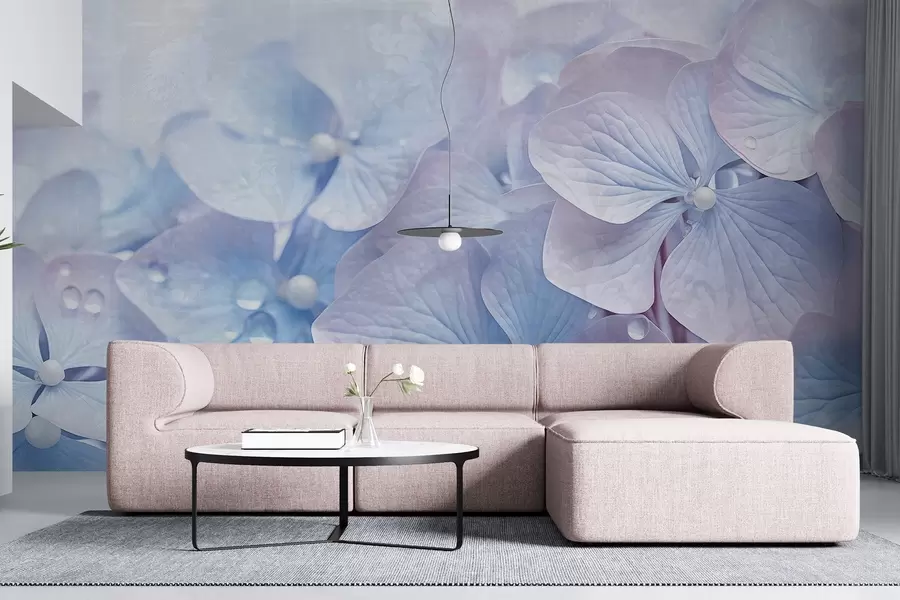 Wall Mural Photo Wallpaper Vintage textured blue and pink hydrangea flowers with water droplets on the petals, blurred pink background w08981