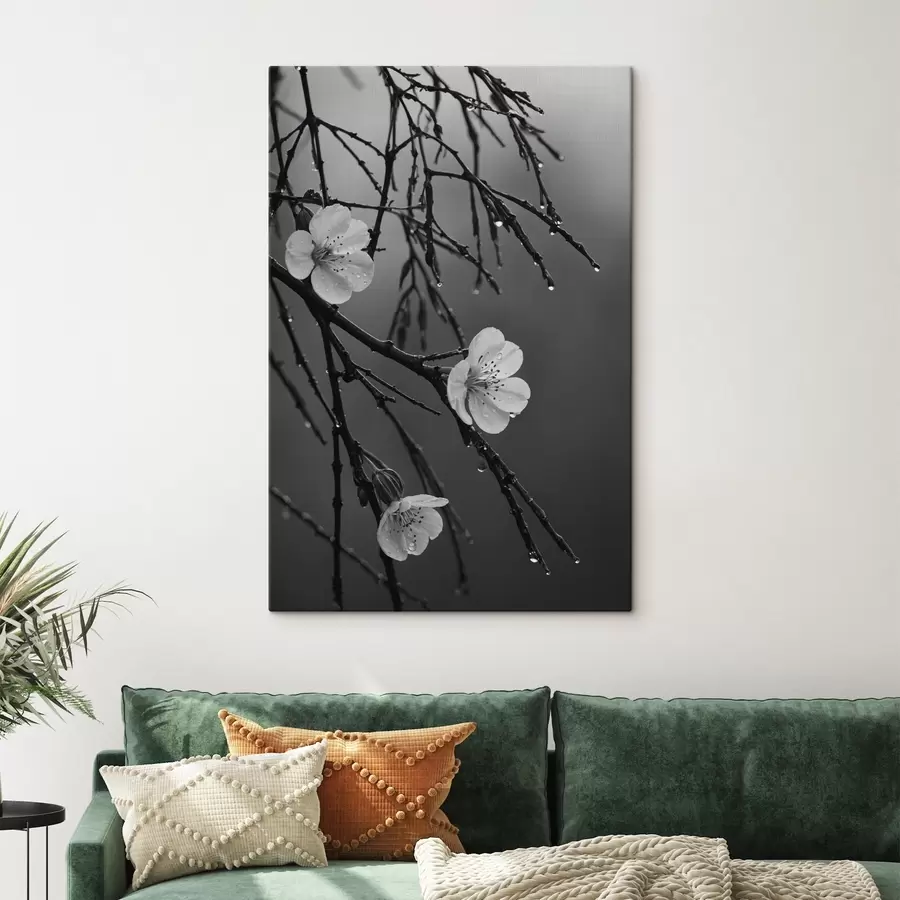 murales Flores en las ramas después de la lluvia s44098