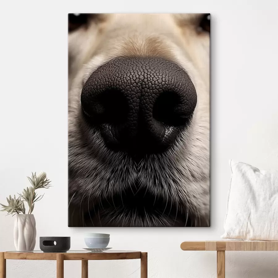 murales Nariz de perro s44273