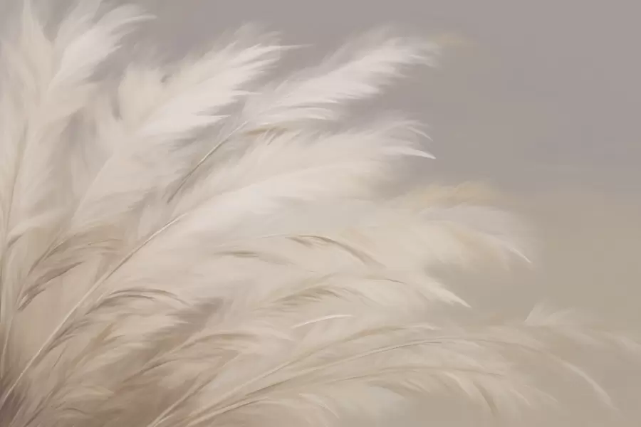 peintures murales Graminées douces et pelucheuses dans les tons beige et gris w03992