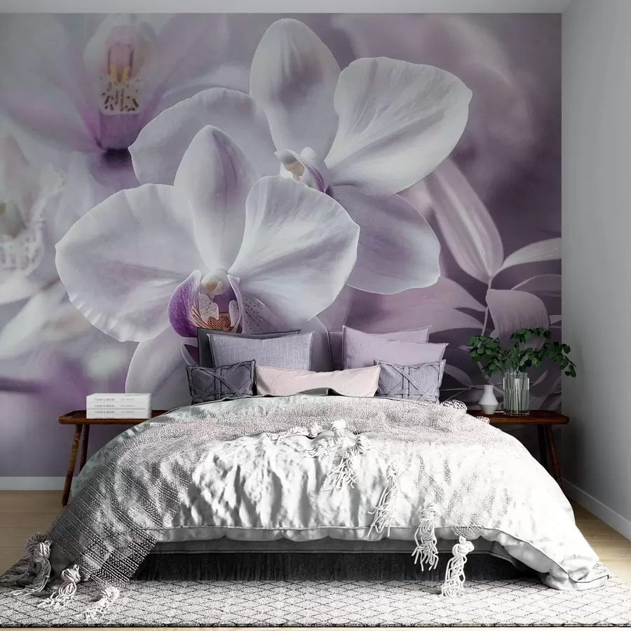 murales Delicadas flores de orquídea blancas y lilas, iluminación suave y fondo difuminado con textura w09155