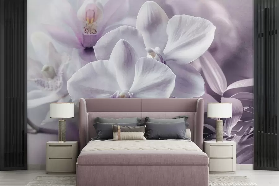 Wall Mural Photo Wallpaper White and lilac delicate orchid flowers, soft lighting, and a blurred textured background  w09155