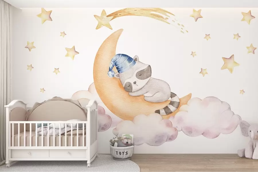 Wall Mural Photo Wallpaper Raccoon on the moon w09169