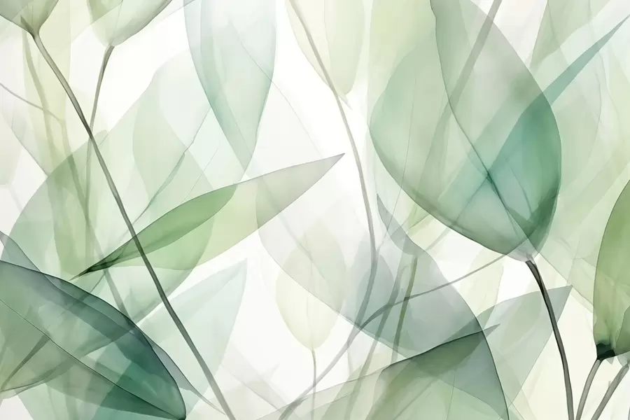 murales Venas transparentes de las hojas w04145