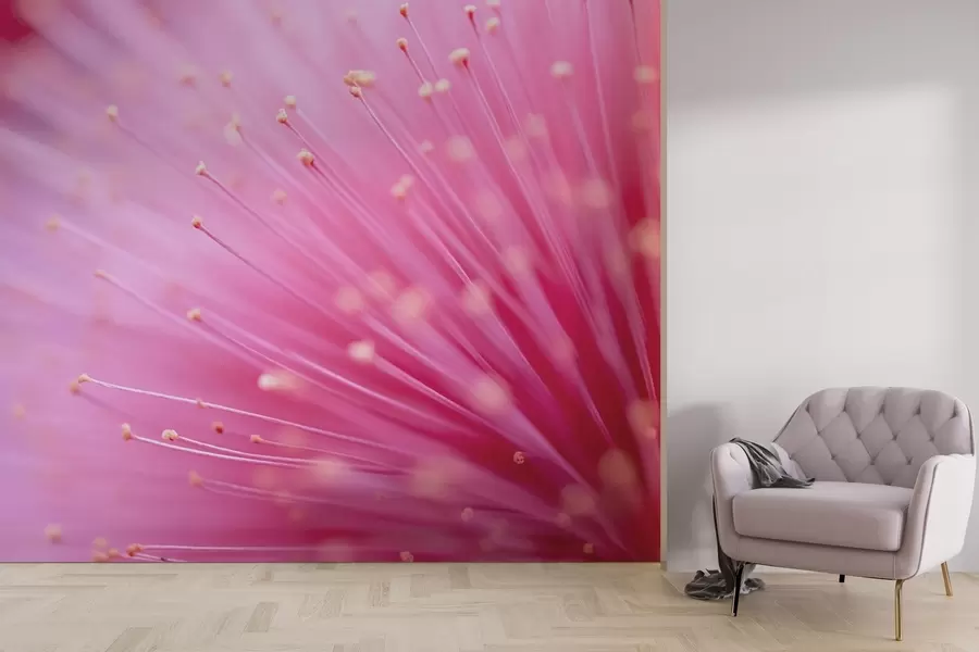 Wall Mural Photo Wallpaper Pink flower stamens in macro, delicate abstraction w04154