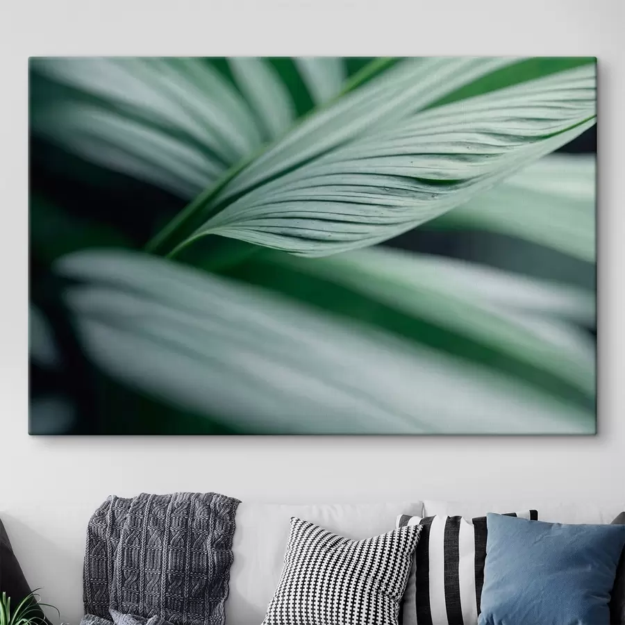 murales Hojas tropicales con gotas de agua en un ambiente brumoso s44903