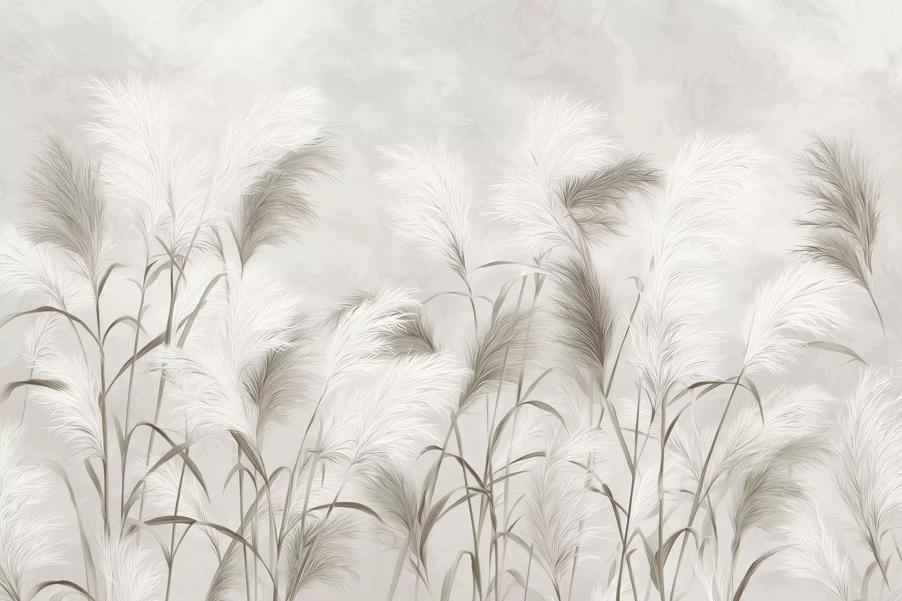peintures murales L'élégante herbe de la pampa fleurit dans des tons gris et bruns w09150