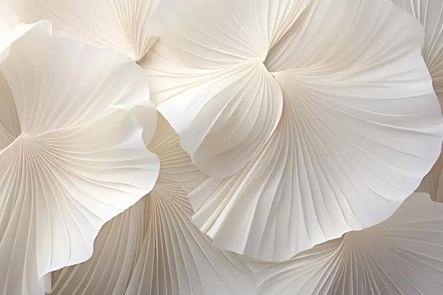 peintures murales pétales, fleurs, blanc, crème, texture, tendresse, décoratif w04216