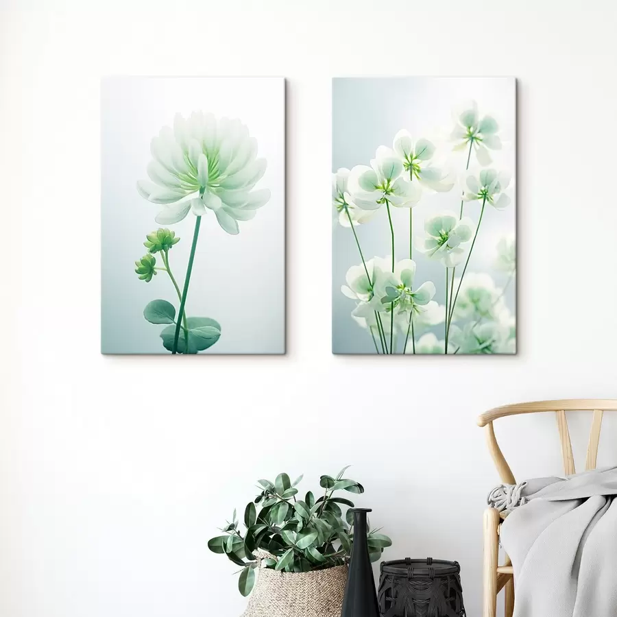 wall murals White clover flowers with green stem and leaves, soft lighting, clean background, minimalist composition, botanical m00520