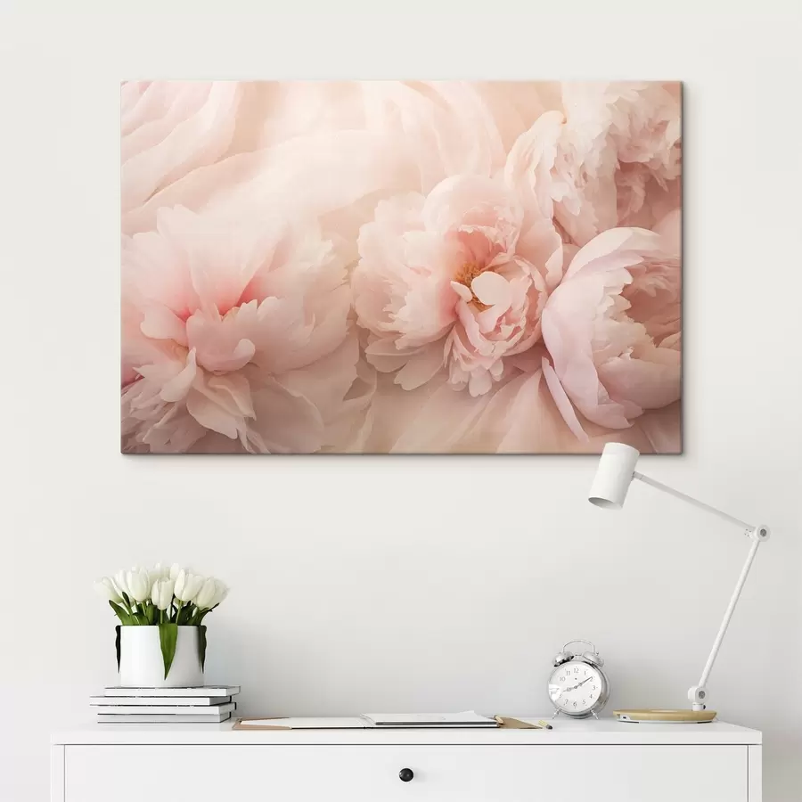murales Peonías de color rosa s45296