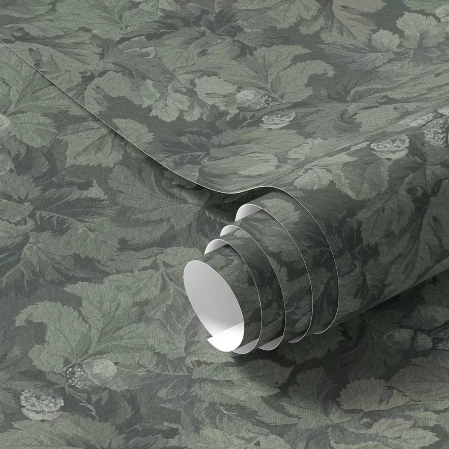 Wall Mural Photo Wallpaper Dark texture of leaves with acorns in deep green a00461