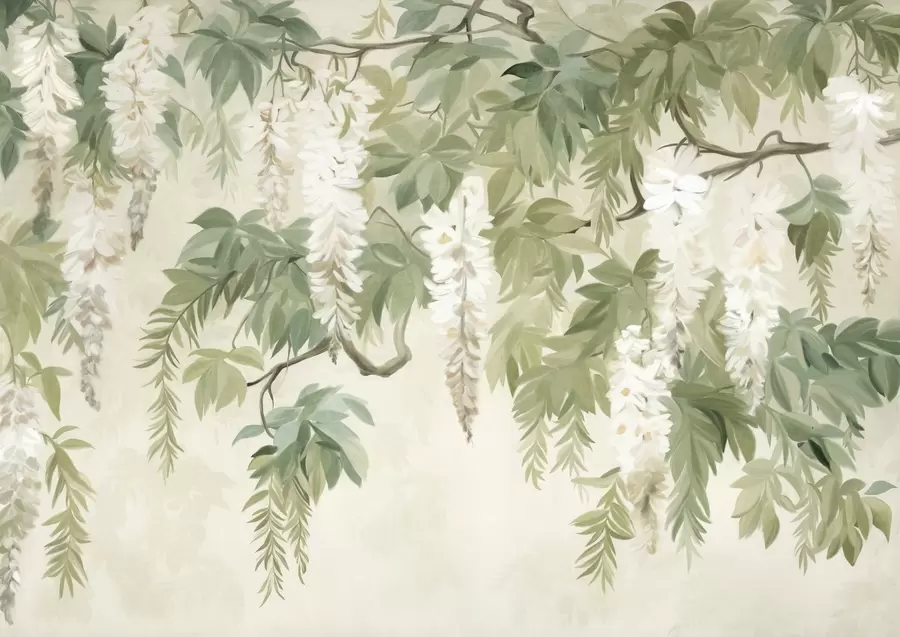 wall murals Wisteria branches with white flowers and green leaves, green background, textured vintage painting style w09375