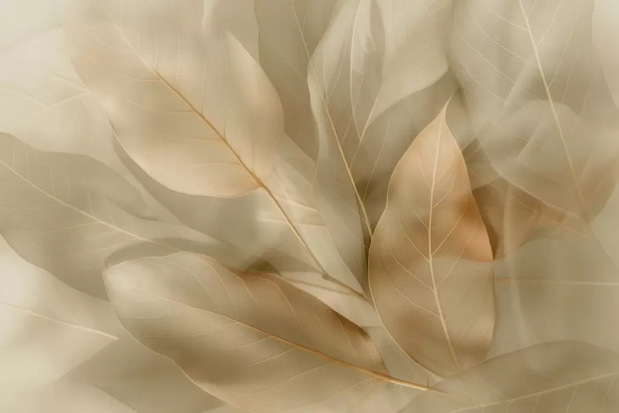 murales Rosas delicadas w04511v2